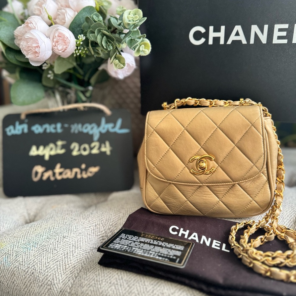 Chanel metallic lambskin quilted mini *PRICE is FIRM*